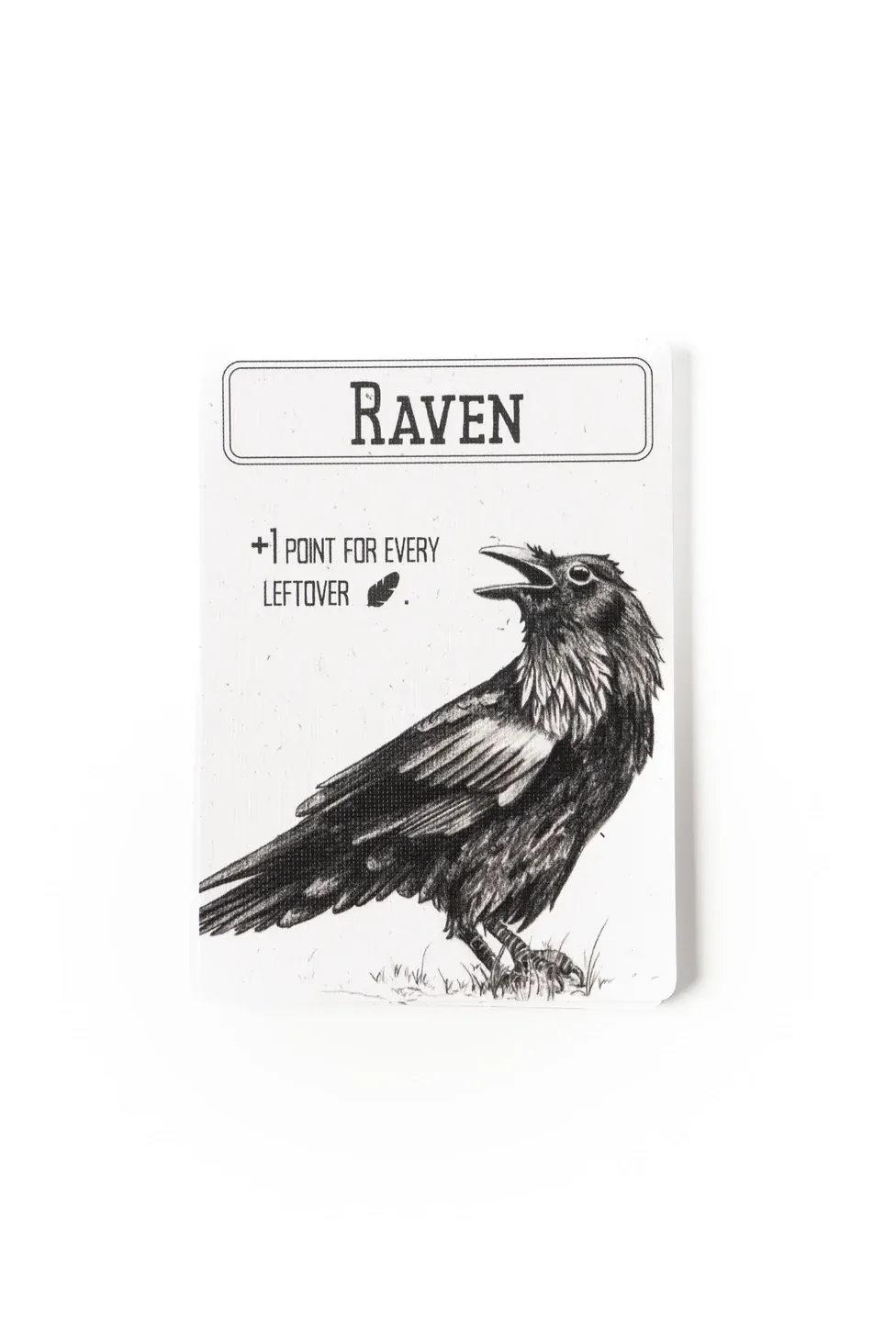 Corvids - Image 6