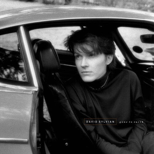 David Sylvian - Gone To Earth - White Brown Opaue Black (Colored Vinyl)