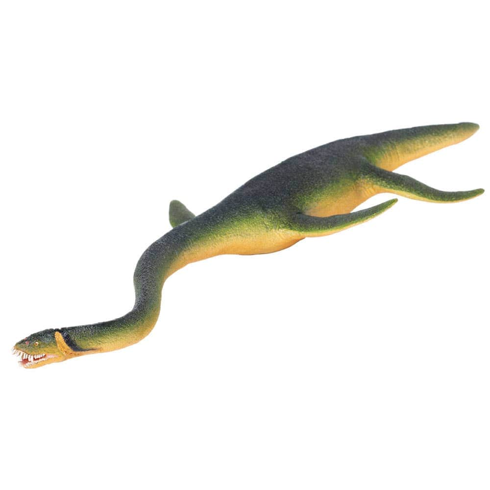 Safari Ltd - Elasmosaurus Figure - Image 4