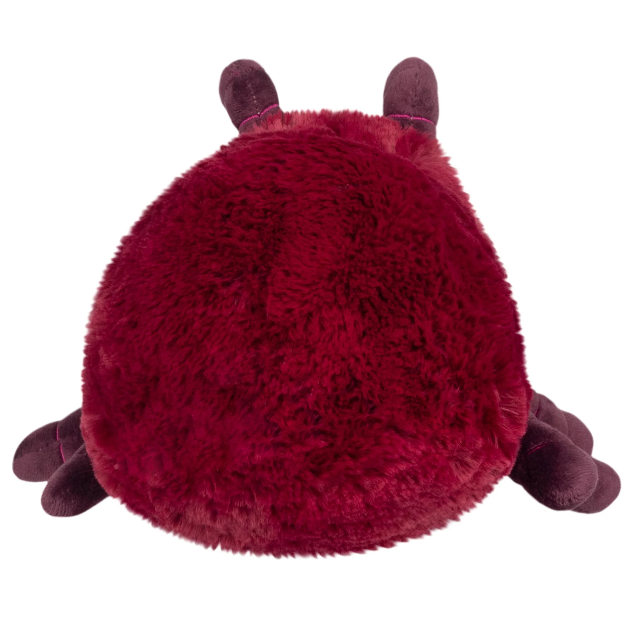 Mini Squishable Ant - Image 3
