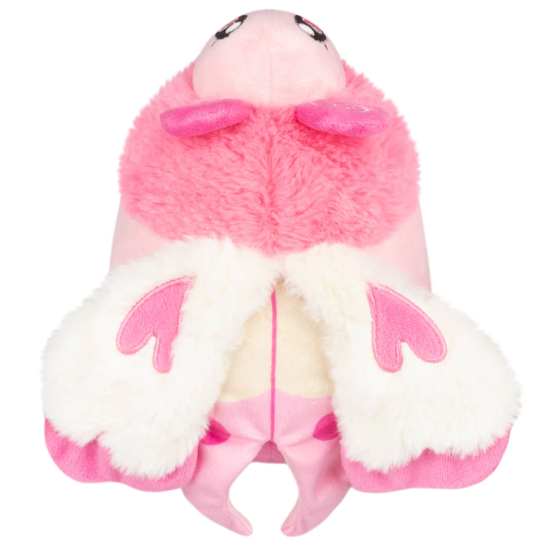 Snacker Lovebug - Image 3