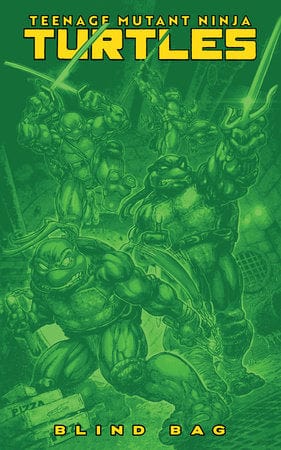 Teenage Mutant Ninja Turtles #13 Variant F (Blind Bag) - 10 PACK BUNDLE