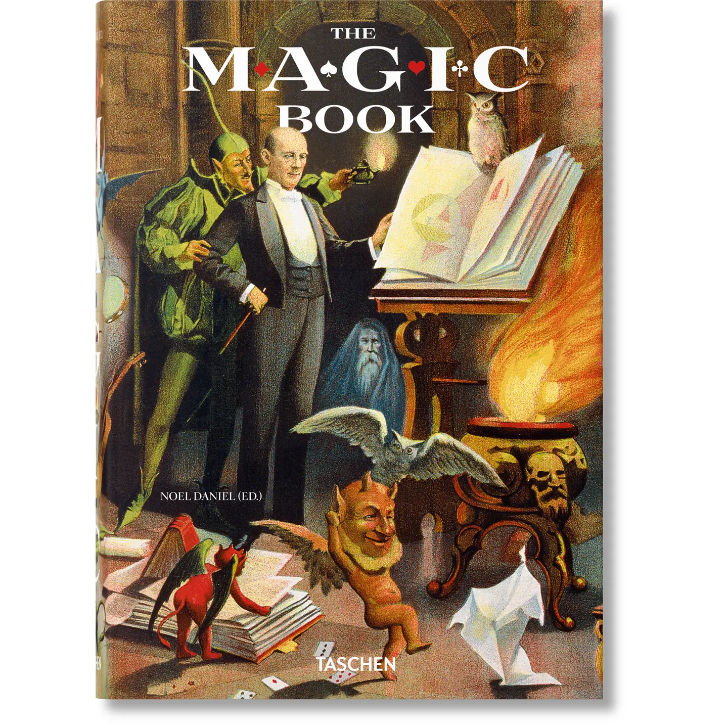 The Magic Book by Noel Daniel (Hardcover)