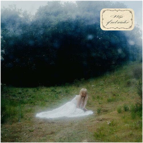 WISP - If Not Winter